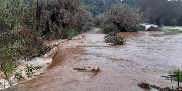 inundatii spania foto x jpg