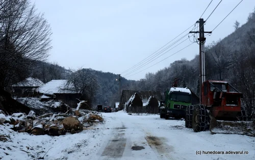 runcu mare foto daniel guta adevarul