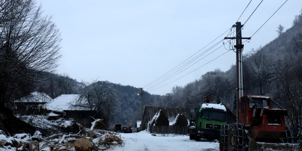 runcu mare foto daniel guta adevarul