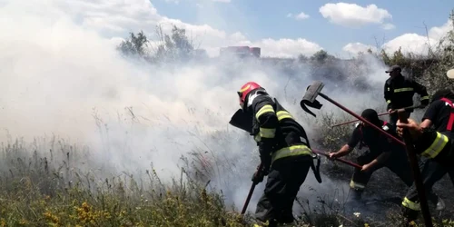 isu botosani incendiu vegetatie png