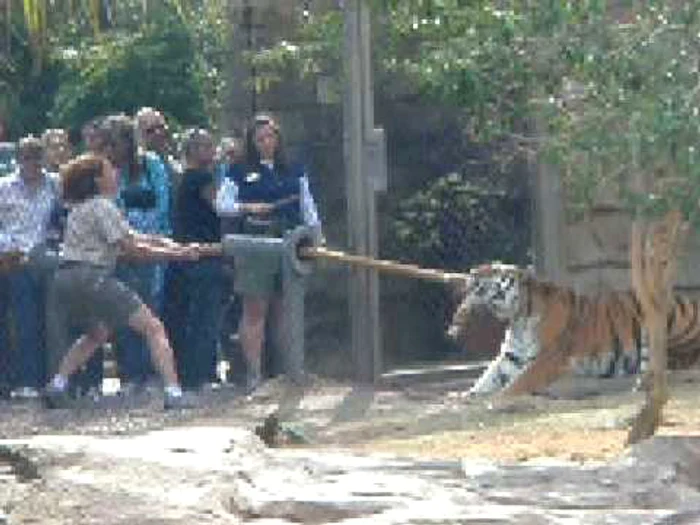 Lupta cu o femeie  pare să aibă un  câştigător clar