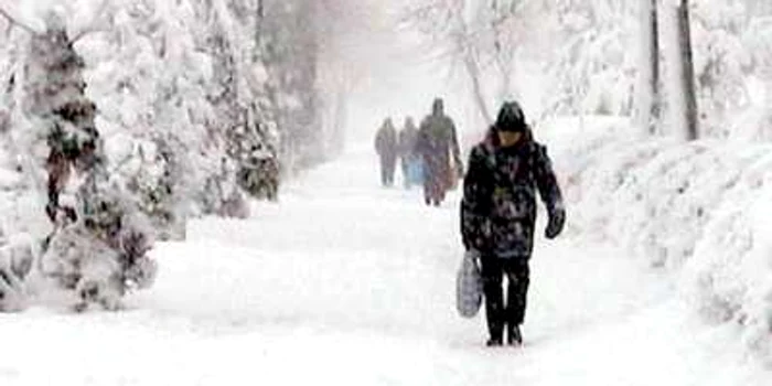 Meteorologii au anunţat zăpadă şi vicol