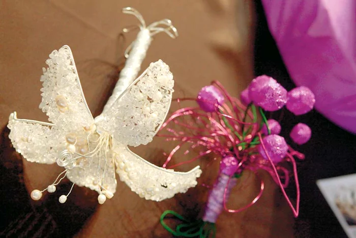 Papioane cu foiţă de aur sau boabe de cafea