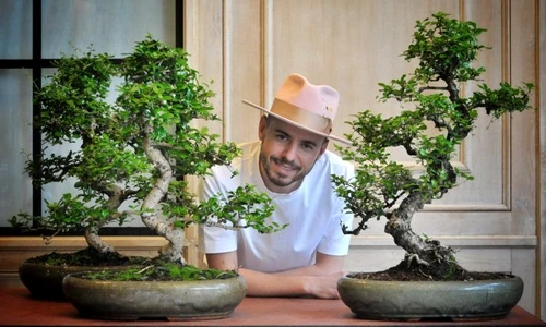 1 dsc 5921 01 resize resize jpg jpeg