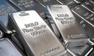 lingouri de argint FOTO Shutterstock