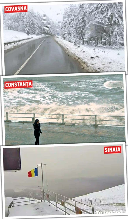 Vrancea
