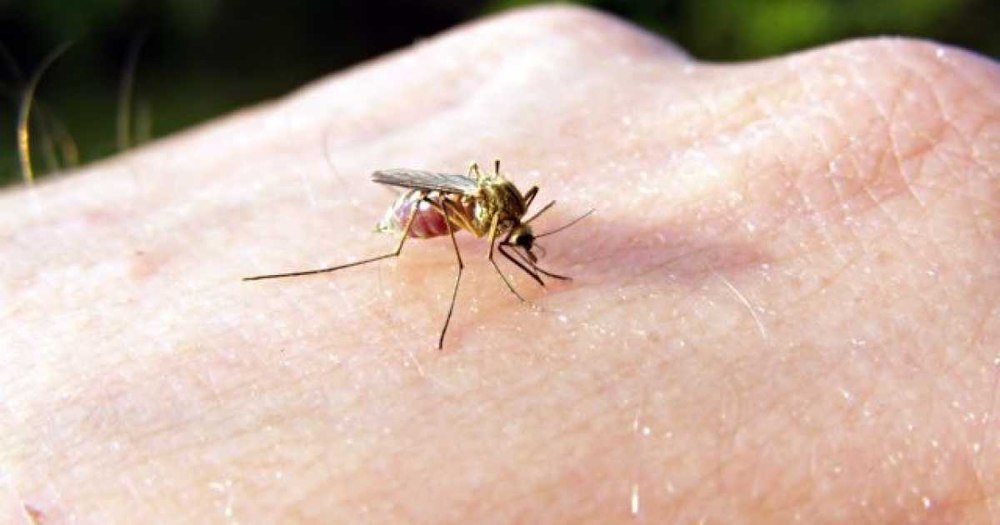 Țara care a eradicat malaria după aproape 100 de ani. Anunțul Organizației Mondiale a Sănătății