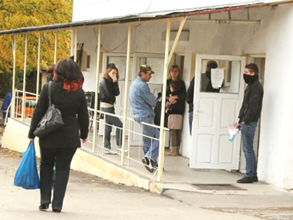 Iaşi: Gripa porcină a băgat spaima în ieşeni