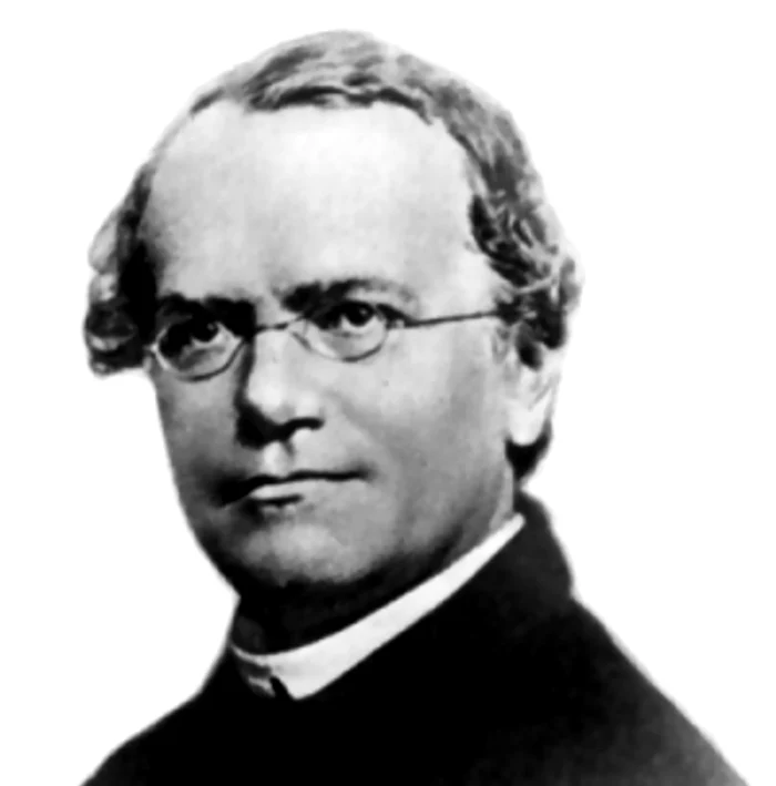 Gregor Mendel (1822-1884). FOTO Wikipedia