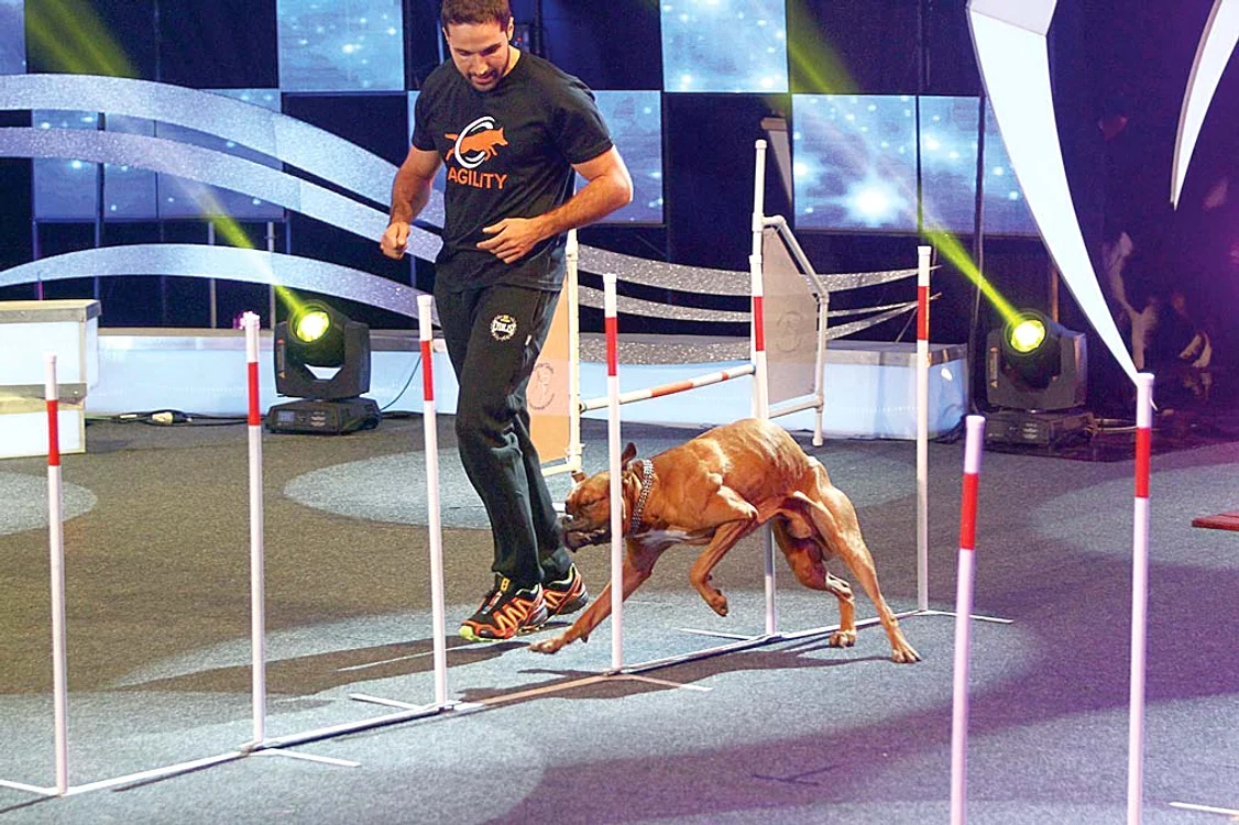 A fost cu Skip la  ”Ham talent”
