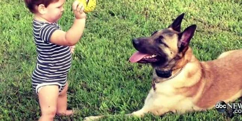 layka foto abcnews.com