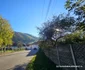 Satul SIbișel Foto Daniel Guță ADEVĂRUL (17) jpg