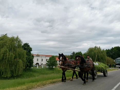 Mănăstirea sârbească din comuna Birda FOTO Ștefan Both