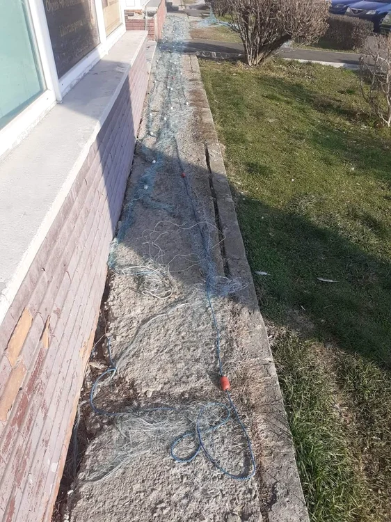 Setca scoasă din râul Jiu va fi distrusă Foto: Claudiu Fiu