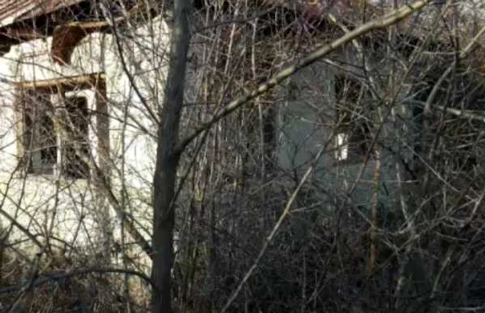 casa parasită bebeluş abandonat