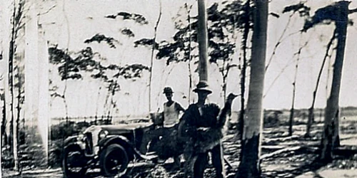 emu soldiers FOTO atlasobscura com jpg