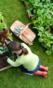 gradina curte istock jpg
