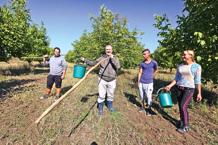 La sfârșitul zilei de muncă, nucile sunt strânse în lăzi și apoi depozitate în locuri speciale pentru a fi păstrateFoto: Sever Gheorghe