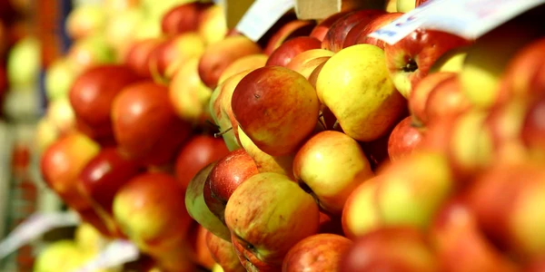fructe
