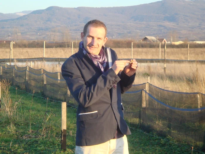 Mircea Hotca