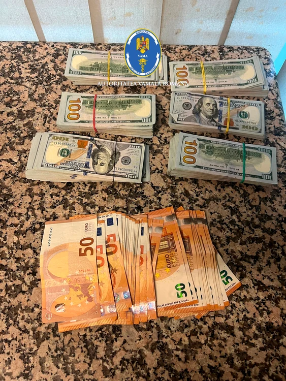 Multe bencnote de euro și dolari
