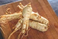ginseng jpg jpeg
