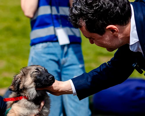 nicusor dan facebook jpg