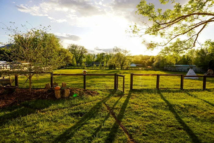 1 motopompa jpg jpeg