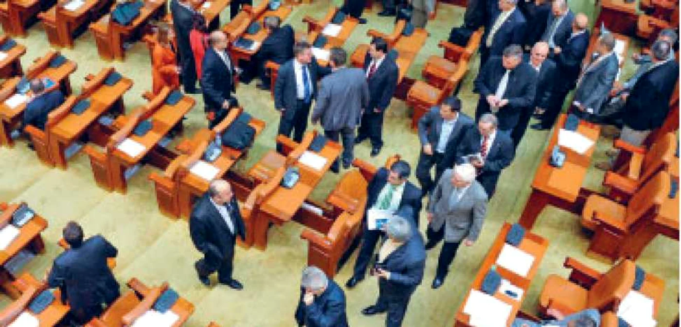 PDL duce moţiunea la Curtea Constituţională