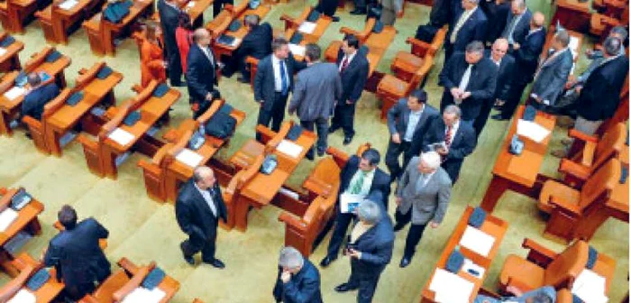 PDL duce moţiunea la Curtea Constituţională