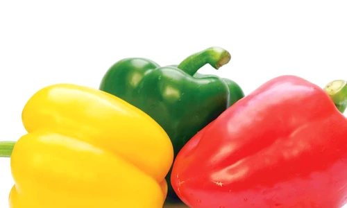 1 66267 original jpg jpeg