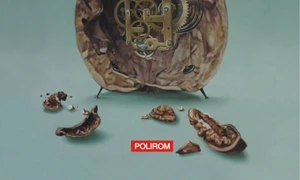 Jupuirea lumii jpeg