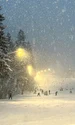 Stațiunile din județul Brașov rămân în topul preferințelor românilor FOTO Poiana Brașov