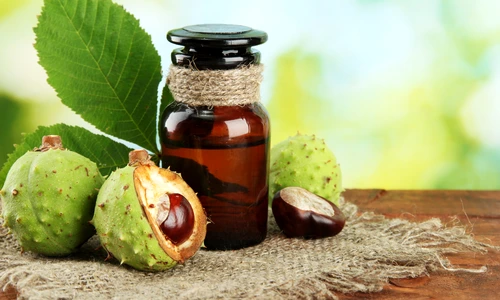 1 castan salbatic jpg jpeg