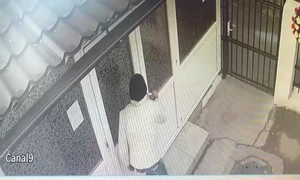 WhatsApp Video 2025 05 14 at 13 26 14 mp4 thumbnail png