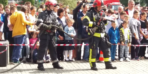 ziua pompierilor salaj