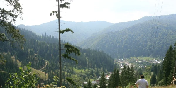 paduri