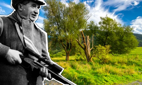 cub animal ceaușescu png
