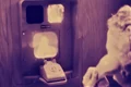 prototip videochat telefon 1170x658 jpeg