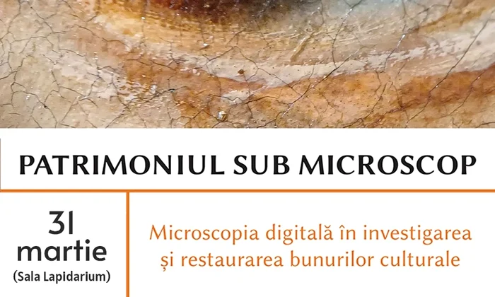 Workshop: Patrimoniul sub microscop. Microscopia digitală în investigarea și restaurarea bunurilor culturale, la MNIR