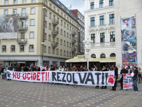 Miting împotriva eutanasierii câinilor din Timişoara FOTO Ştefan Both