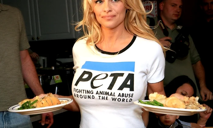 pamela jpeg