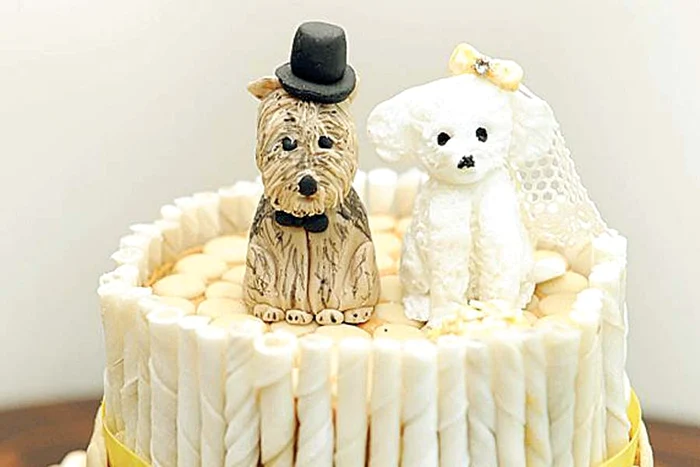 Alisha Caffrey (27 de ani) a pregătit totul pentru ca mirii să aibă parte de o nuntă perfectă (Fotografii: Photoland/Caters)