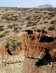 Homo erectus s-a adaptat la un mediu de viață ostil (foto: x.com / Prof. Julio Mercader Florín)