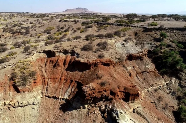 Homo erectus s-a adaptat la un mediu de viață ostil (foto: x.com / Prof. Julio Mercader Florín)