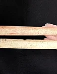 Harpoane din oase de balenă vechi de 5.000 de ani (© Museu Arqueologico de Sambaquis de Joinville)