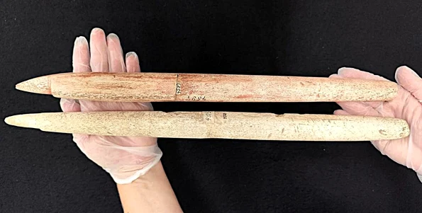 Harpoane din oase de balenă vechi de 5.000 de ani (© Museu Arqueologico de Sambaquis de Joinville)