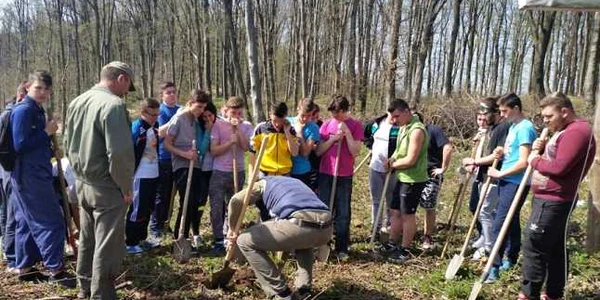 ecoprovocarea 2016 zalau