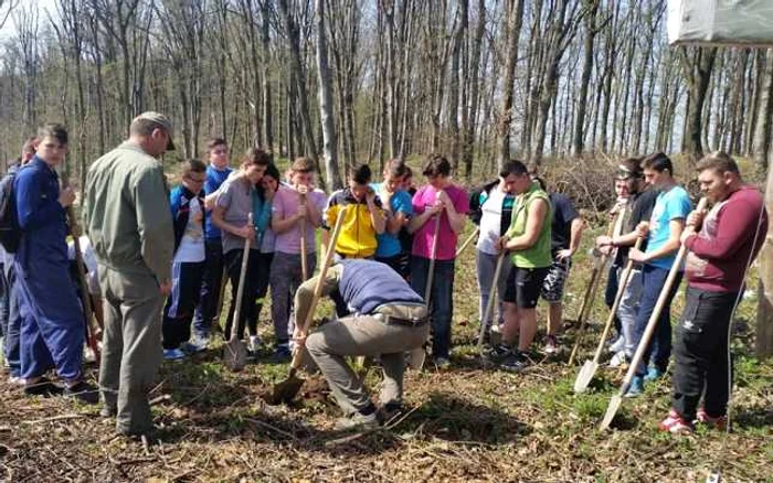 Elevii au adunat 500 de ore de voluntariat pentru comunitate FOTO ecOprovocarea