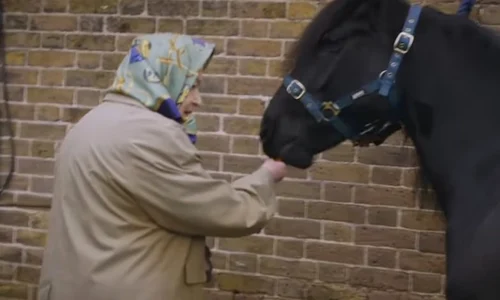 Elisabeta a IIa cal jpeg